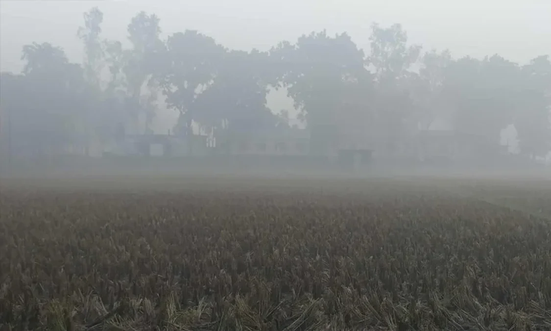 দেশজুড়ে মৃদু শৈত্যপ্রবাহের আভাস