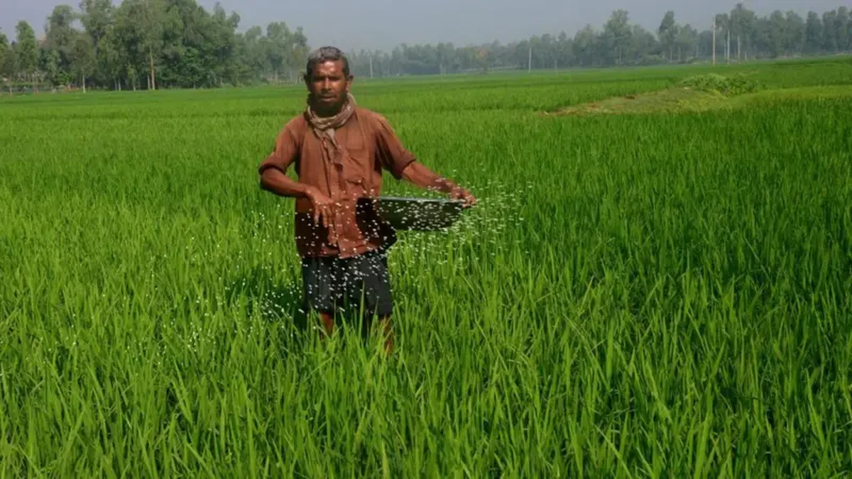 সারের ভর্তুকি নিয়ে কৃষক প্রতারিত, ডিজিটাল দুর্নীতিতে বিপর্যস্ত কৃষি খাত