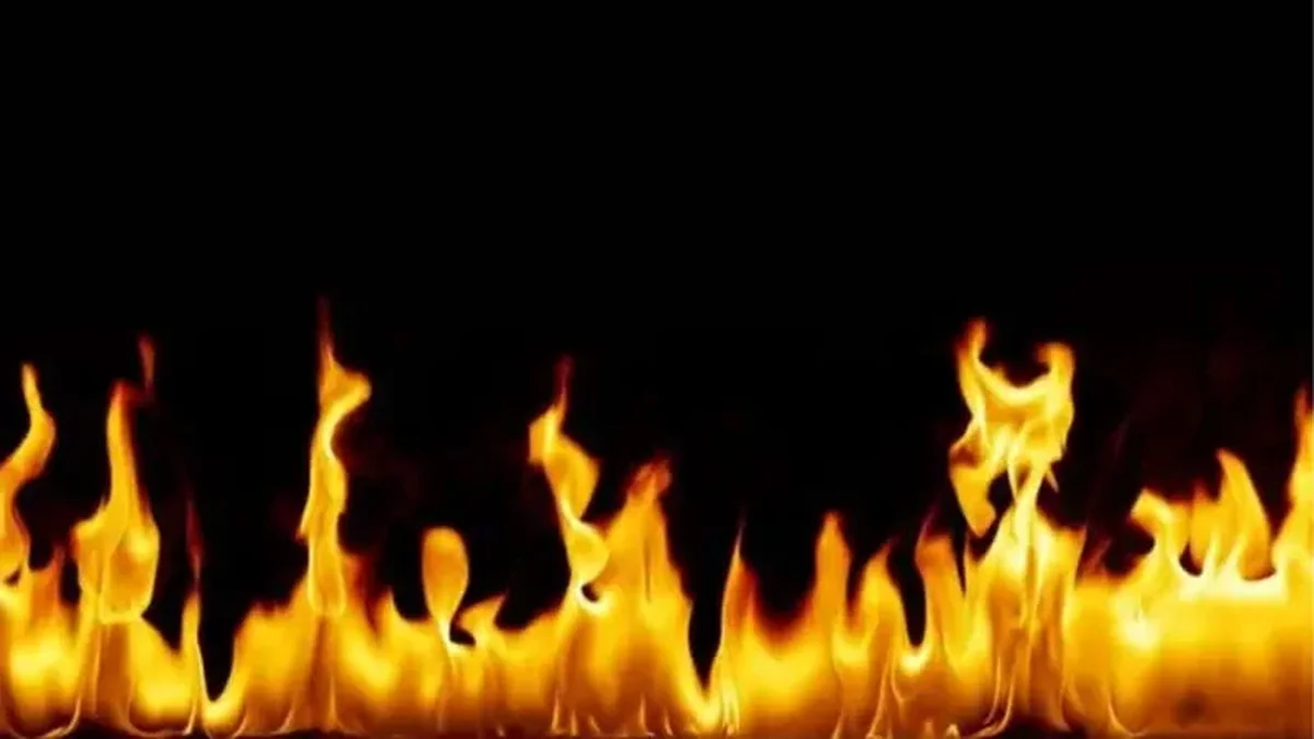 স্ত্রী-সন্তানসহ দগ্ধ দুইজনের মৃত্যু