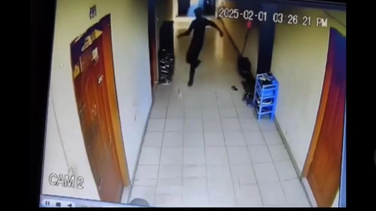 মোহাম্মদপুরে বিড়াল হত্যা মামলার আসামীর ৬ মাসের কারাদণ্ড