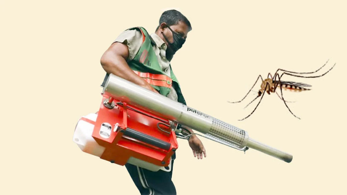 মশা মারতে কীসের সন্ধানে ঢাকার দুই সিটি কর্পোরেশন?
