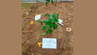 হাদিকে দাফনের পর নজরুলের সমাধি কি নিরাপদ থাকবে?