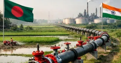 সংকটে দেশের জন্য কার্যকর প্রমাণিত শেখ হাসিনার উদ্যোগ