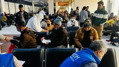 আইওএম ও সরকারের উদ্যোগে লিবিয়া থেকে দেশে ফিরলেন ৩১০ বাংলাদেশি