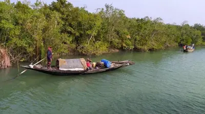 সুন্দরবনে ফের জলদস্যু আতঙ্ক, বনজীবীরা নিরাপত্তাহীনতায়